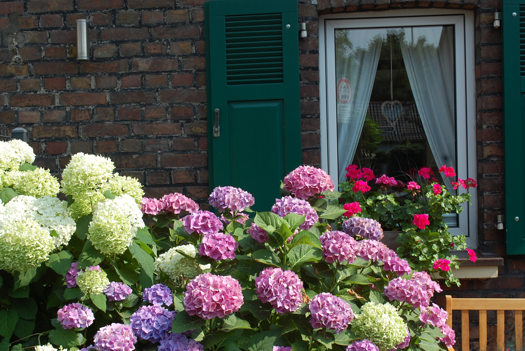 Fotos Niederkassel Rudolf gottschlich de